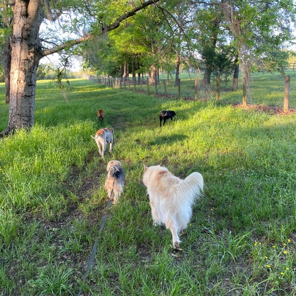 FREE SHIPPING $100+ - Picture 8 of 8